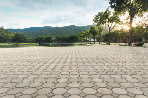 Best Driveway Pavers Near Me  in Fresno, TX